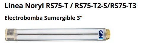 BOMBA SUMERGIBLE GM R75-T3-20 1 HP - Imagen 4